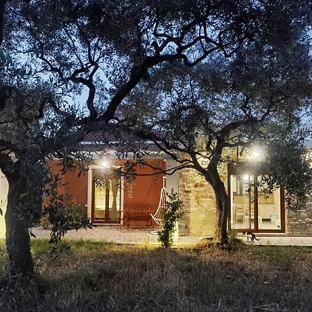 Elea Stone Houses In Organic Quiet Olive Grove, Prinos, Thassos Εξωτερικό φωτογραφία