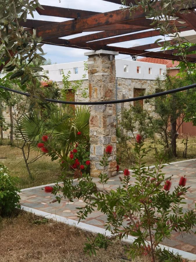 Elea Stone Houses In Organic Quiet Olive Grove, Prinos, Thassos Εξωτερικό φωτογραφία