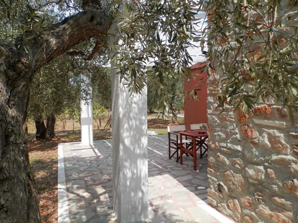 Elea Stone Houses In Organic Quiet Olive Grove, Prinos, Thassos Εξωτερικό φωτογραφία