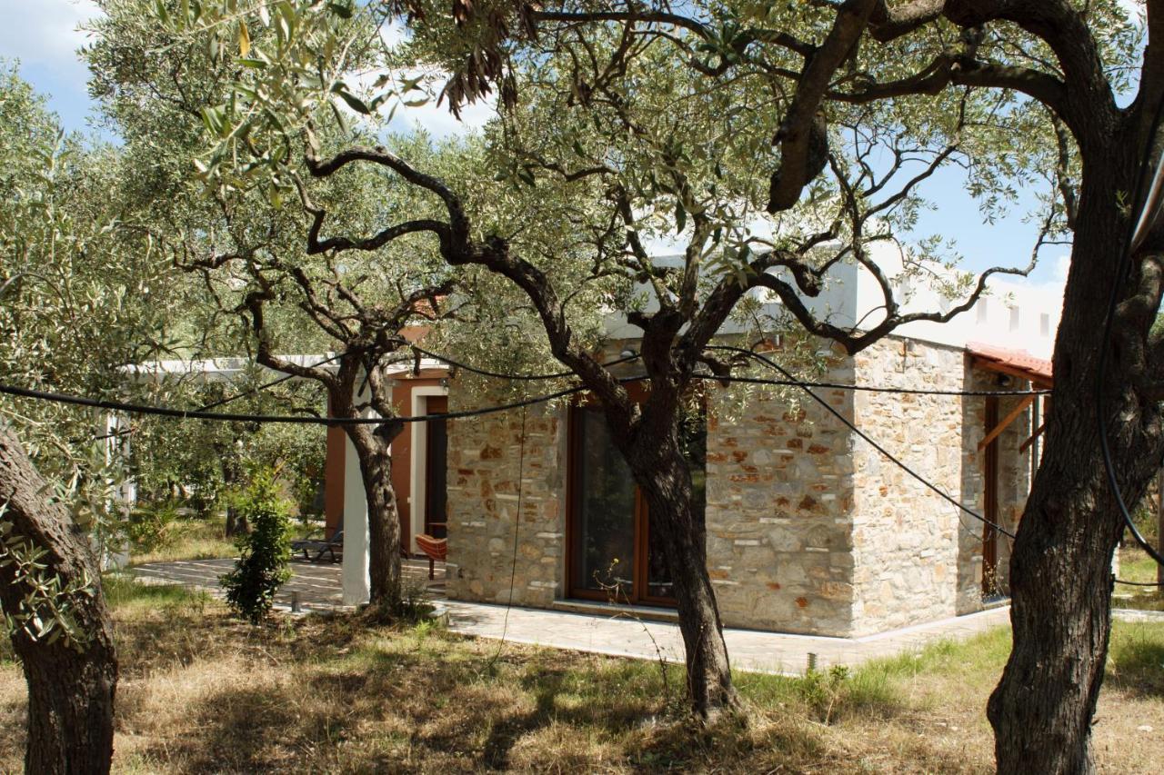 Elea Stone Houses In Organic Quiet Olive Grove, Prinos, Thassos Εξωτερικό φωτογραφία