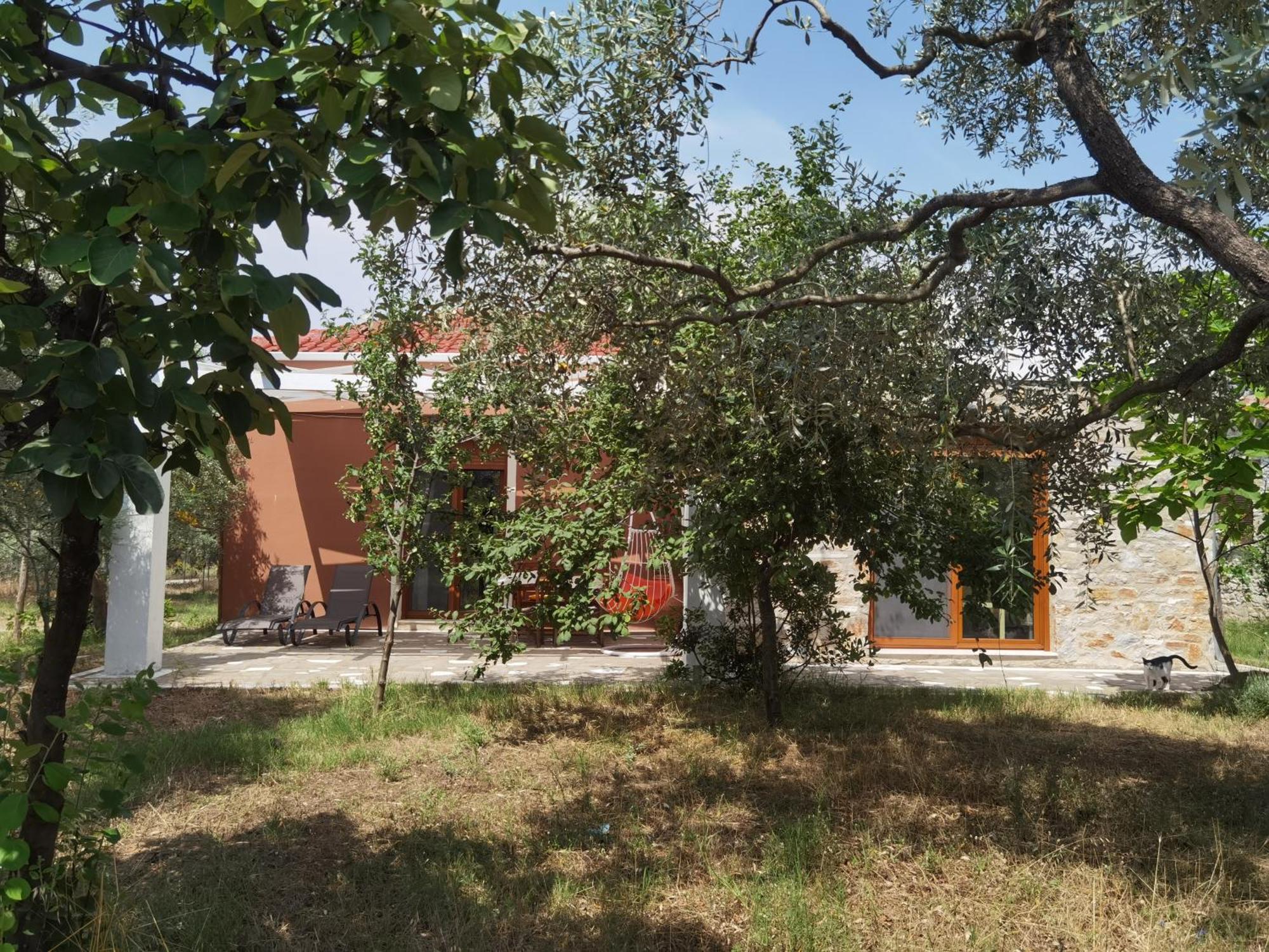 Elea Stone Houses In Organic Quiet Olive Grove, Prinos, Thassos Δωμάτιο φωτογραφία