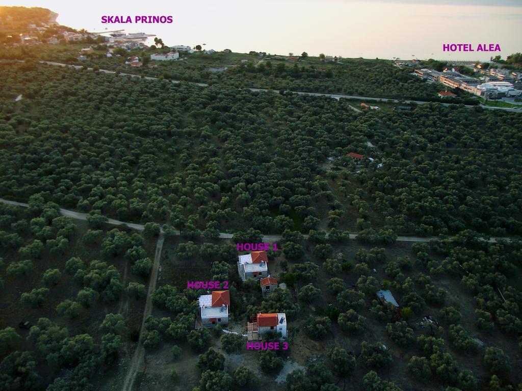 Elea Stone Houses In Organic Quiet Olive Grove, Prinos, Thassos Εξωτερικό φωτογραφία