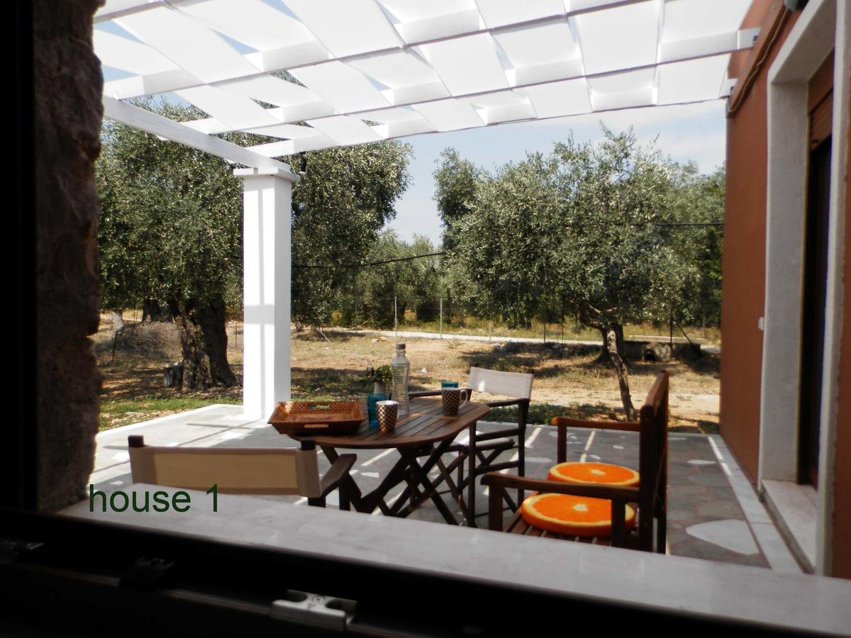 Elea Stone Houses In Organic Quiet Olive Grove, Prinos, Thassos Εξωτερικό φωτογραφία