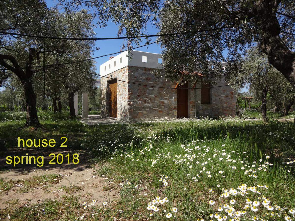 Elea Stone Houses In Organic Quiet Olive Grove, Prinos, Thassos Εξωτερικό φωτογραφία