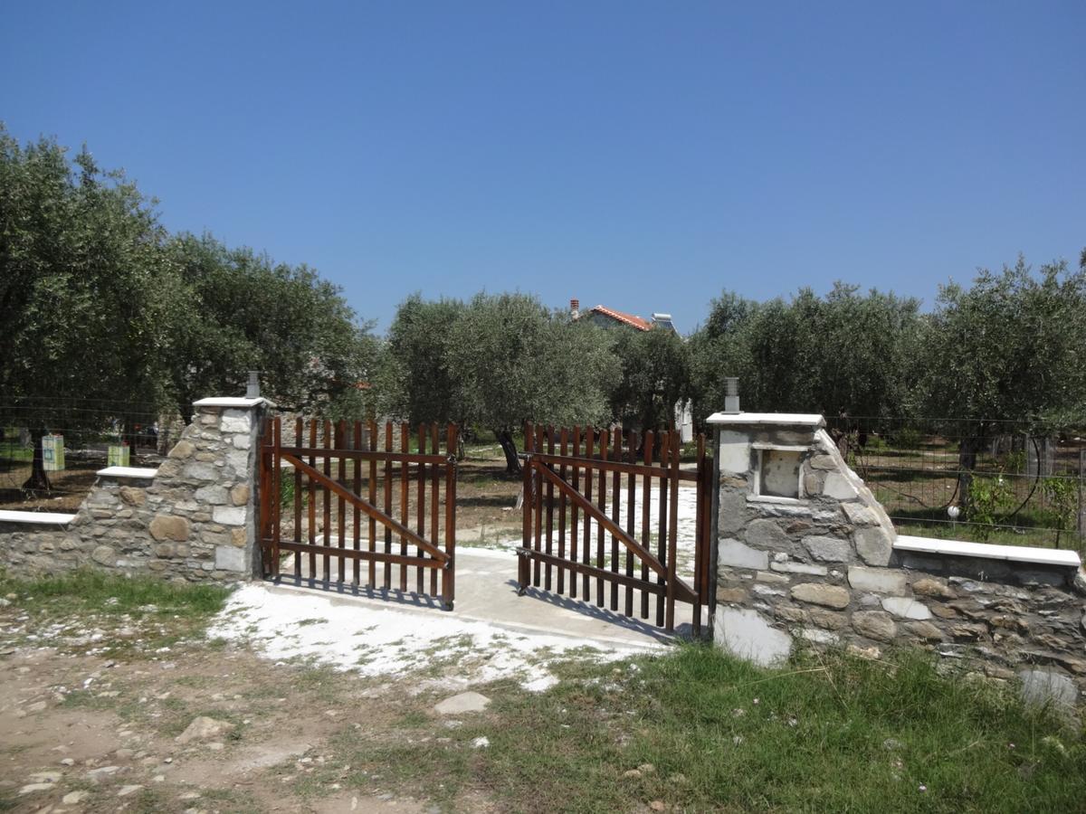Elea Stone Houses In Organic Quiet Olive Grove, Prinos, Thassos Εξωτερικό φωτογραφία